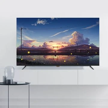 SKD ERC TV